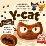 【2026年12月まで限定】Yキャット（ショコラ・ミルク）