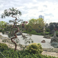 ラ ベデュータ - 日本庭園ありました
