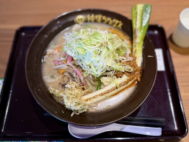 神様ちゃんぽん 関越自動車道上里SA(上り線) （【旧店名】自家製麺