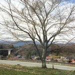 傍 - 窓から蓼科が近い。まだ桜のつぼみも硬い４月。