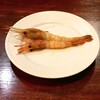 pasticci - 料理写真:
