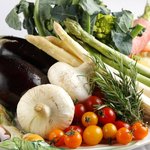 トラットリア アルテフィーチェ 銀座 - 全国各地より厳選された食材