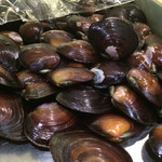 味あら井 - シジミ  でけー