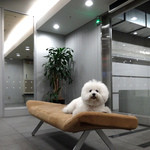 AW ・ELEMENTS - まだ帰りたくないワン〜♬