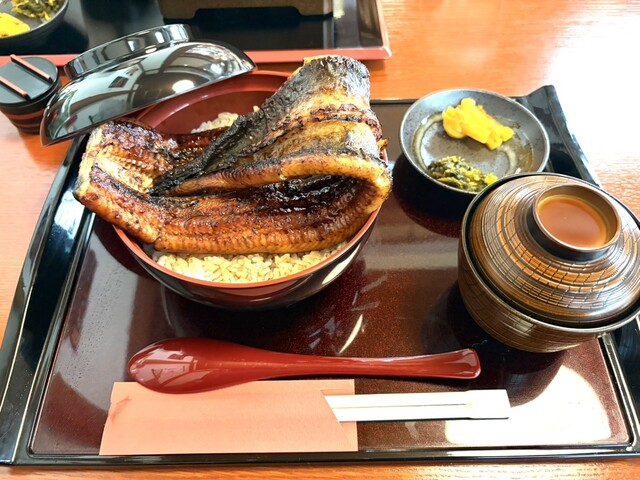 うな匠 - 沼津/うなぎ | 食べログ