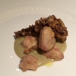 フォリオリーナ・デッラ・ポルタ・フォルトゥーナ - 2015/4 