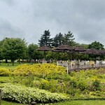 ロクシタンカフェ - 