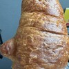 コンセルボ - 