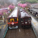 列車レストラン・清流 - 