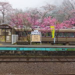 列車レストラン・清流 - 