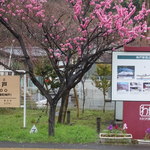 列車レストラン・清流 - 