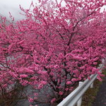 列車レストラン・清流 - 