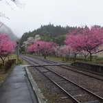 列車レストラン・清流 - 