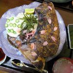 漁師居酒屋 楓 - 鮪のカマ焼きカレー、スマホと大きさ比較