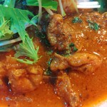 きせつのきまぐれ出汁カレー 井澤製作所 - チキンカレー