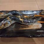 鰓呼吸 - 