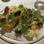 368877565 - お野菜の旅