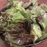 sinensis - 