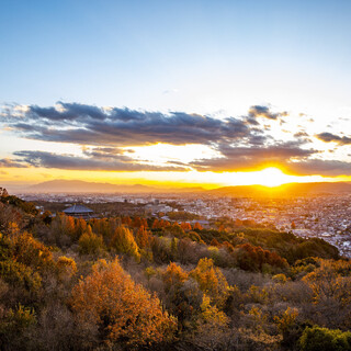 TERRACE_2