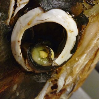 旬魚旬菜まるとび_1