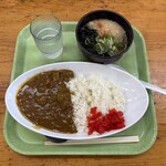 豊吉うどん - 料理写真: