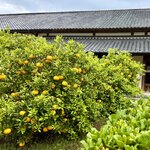 萩博物館レストラン - 