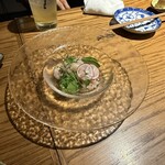 D-DRAGON - 