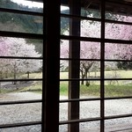 Oshokujidokoro Iroribata - 店内からの景色