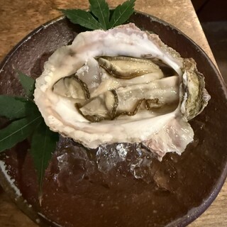 カツズ_0