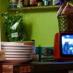 カタコト - 店の奥にはコリアンダーが