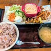 こっこのすけ - 料理写真:大人様ランチ