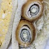 サンドイッチハウス メルヘン グランスタ丸の内店