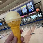 ボラレ - 