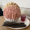 TSUJI - 料理写真: