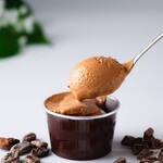 ORANG ORANG cacao - 