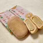 母恵夢 - 料理写真:ベビー母恵夢みかん