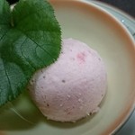 緑彩 - 苺のアイスクリーム