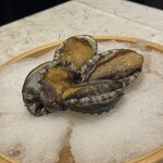 筑紫樓 - 