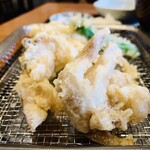 天房 - 殻長9.5cmの巨大バチ（= 地蛤）：2本の水管が大きさを物語ってます...