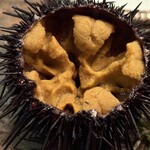 居酒屋 ちょーちょ - 