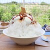 ロースター カフェ ペンギン堂 - 【2026.06】かき氷・塩キャラメルナッツ(税込800円)