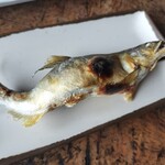 船場亭 - 料理写真: