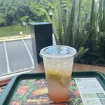 モスバーガー - ドリンク写真: