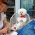 THE GRILL TORANOMON - その他写真:Mom knows well that I smell chicken