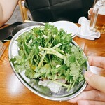 ジンギスカン羊はち - 濃厚なタレで和えたパクチーサラダ