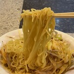 花宴 - 麺、にゅ〜〜ん！　※麺の量は、並でも結構、多い