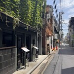 sinensis - 