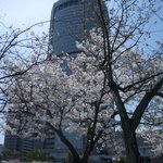 新和食 きくい - 