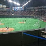 札幌プリンスホテル - 出口から見える風景(バックネット裏)