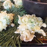 仙人小屋 - フキノトウあっぷ